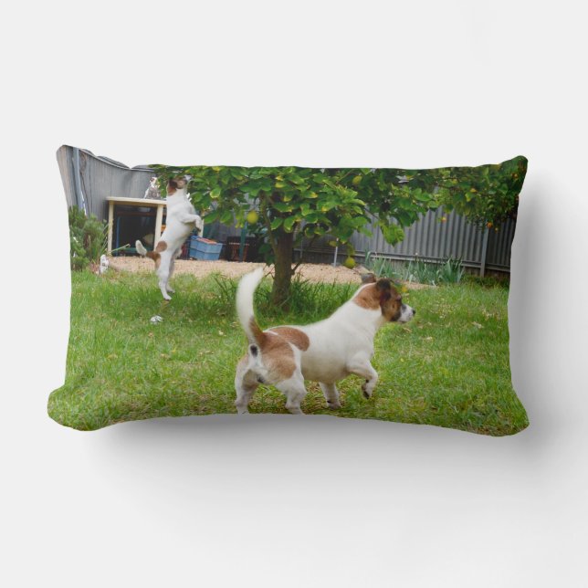 Coussin Rectangle Fox Terrier Temps de jeu Lumbar Cushion (Recto)