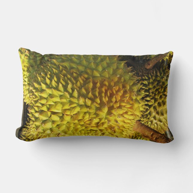 Coussin Rectangle Fruit durian (Recto)