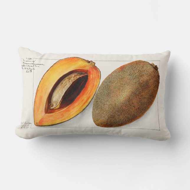 Coussin Rectangle Fruits vintages (Recto)