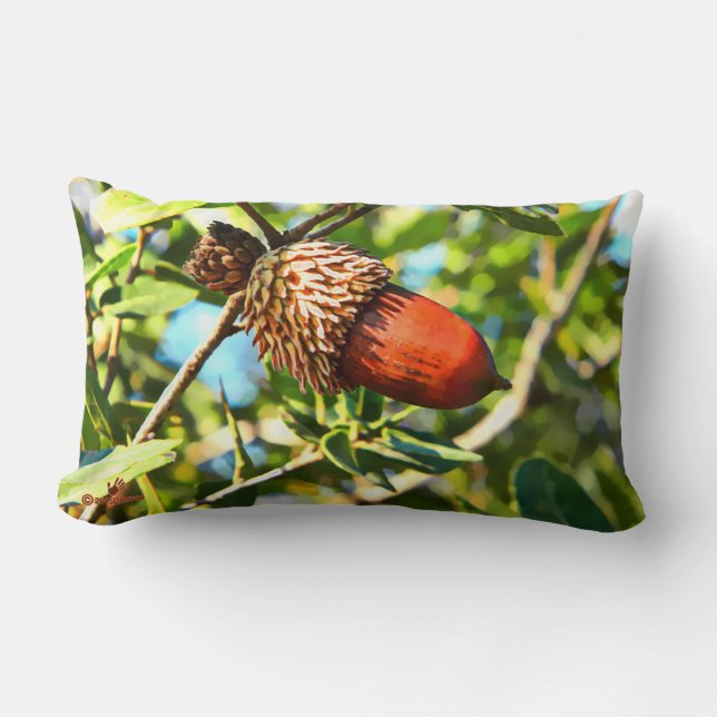 Coussin Rectangle Galilee Acorn (Recto)