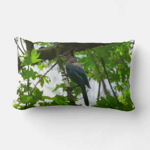 Coussin Rectangle Geai de Steller dans le parc national de Yosemite