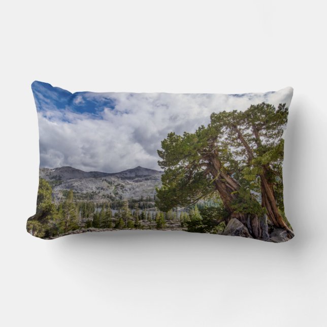 Coussin Rectangle Genévrier de la Sierra et arbres à feuilles persis (Recto)