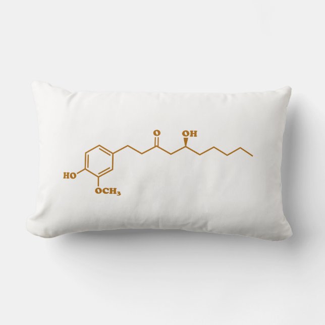 Coussin Rectangle Gingerol Molecule formule chimique (Recto)