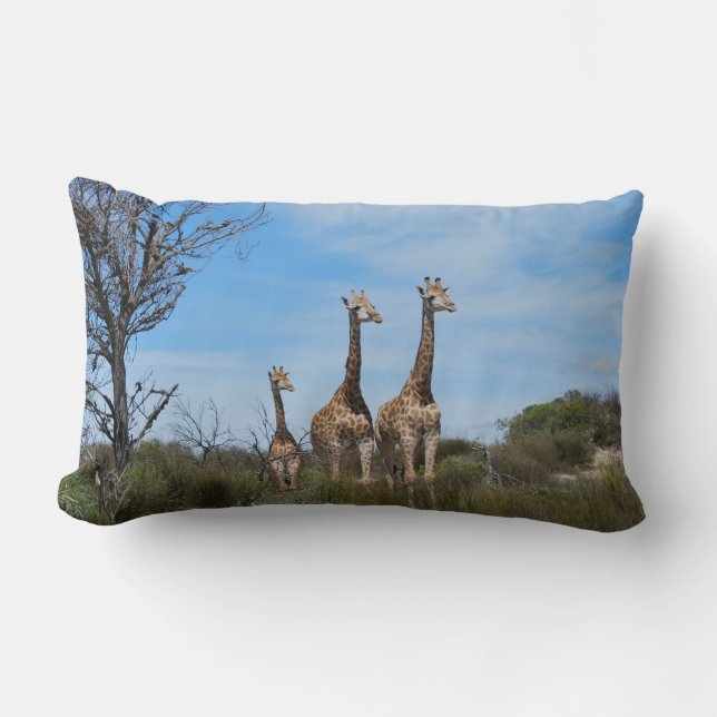 Coussin Rectangle Girafes dans Horizon Calme (Recto)