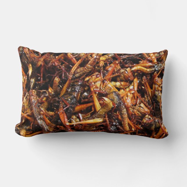 Coussin Rectangle Grasshopper frit (Takkataen Thot) Alimentation asi (Recto)