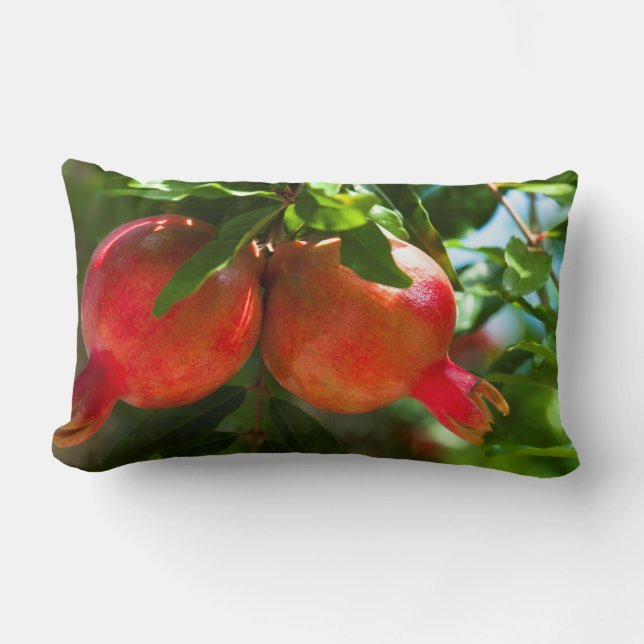 Coussin Rectangle Grenade (Recto)