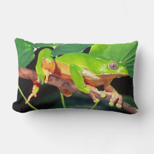 Coussin Rectangle Grenouille arboricole singe bicolore, Phyllomedusa