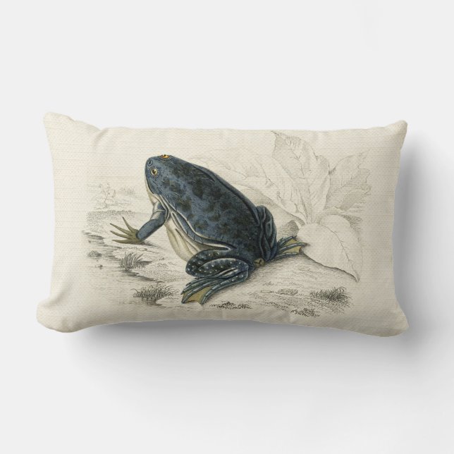 Coussin Rectangle Grenouille vintage (Recto)