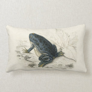 Coussin Rectangle Grenouille vintage