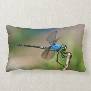 Coussin Rectangle Gros Plan D'Un Dragon Bleu Sur Une Branche