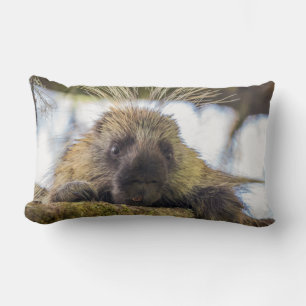 Coussin Rectangle Gros plan d'un porc-épic dans un arbre
