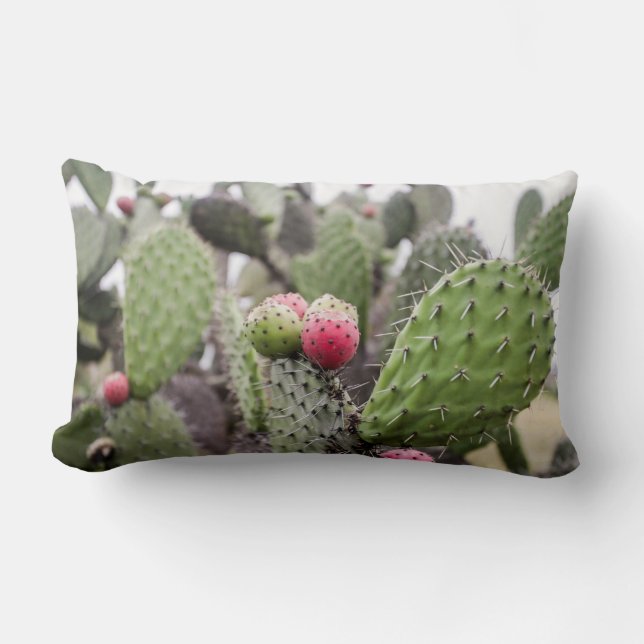 Coussin Rectangle Gros plan sur le cactus figuier de Barbarie (Recto)