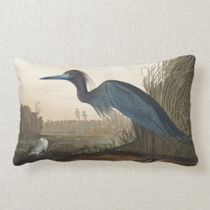Coussin Rectangle Grue bleue ou héron d'oiseaux d'Amérique