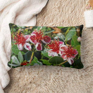 Coussin Rectangle Guava ananas / Fleurs de Guavasteen