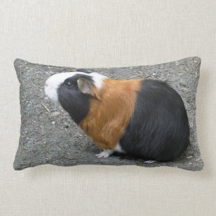 Coussin Rectangle Guinée - Photo Pig