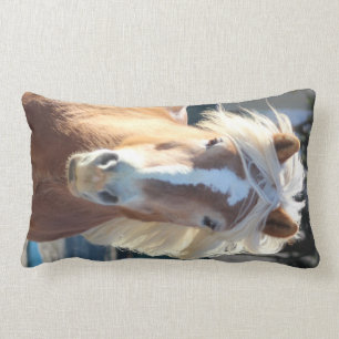 Coussin Rectangle Haflinger
