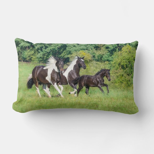 Coussin Rectangle Harde de Chevaux Pinto Barock avec mignonette Foal (Recto)