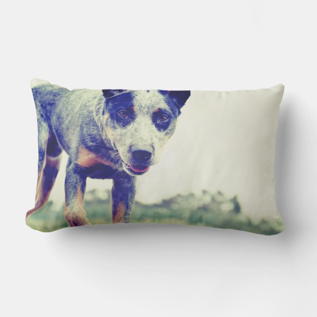 Coussin Rectangle Heeler bleu (Recto)