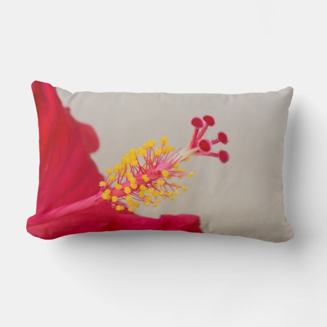 Coussin Rectangle Hibiscus rouge gros plan sur pistil et étamine (Recto)