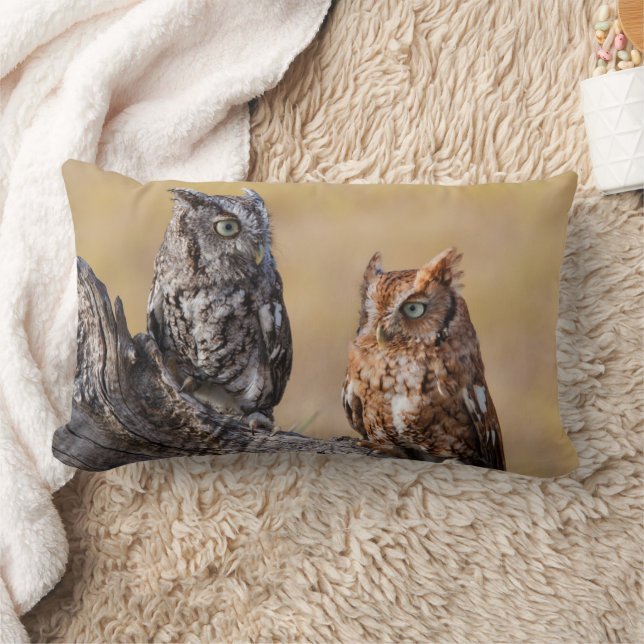 Coussin Rectangle Hibou des marais perché dans un arbre (Couverture)