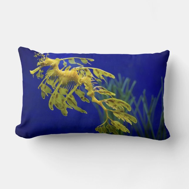 Coussin Rectangle Hippocampe (Recto)