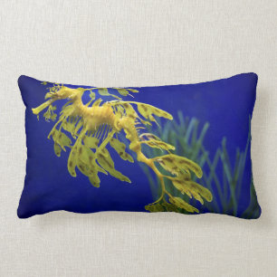 Coussin Rectangle Hippocampe
