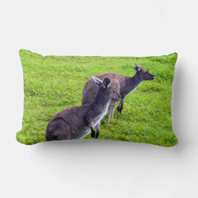 Coussin Rectangle Horizons sans limites : Kangaroos gris sur la plai (Recto)