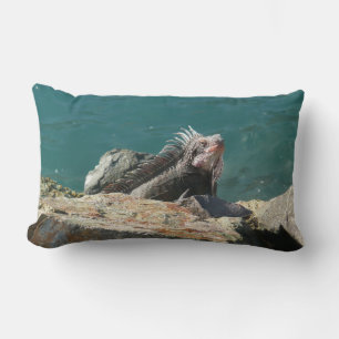 Coussin Rectangle Iguana à St Thomas