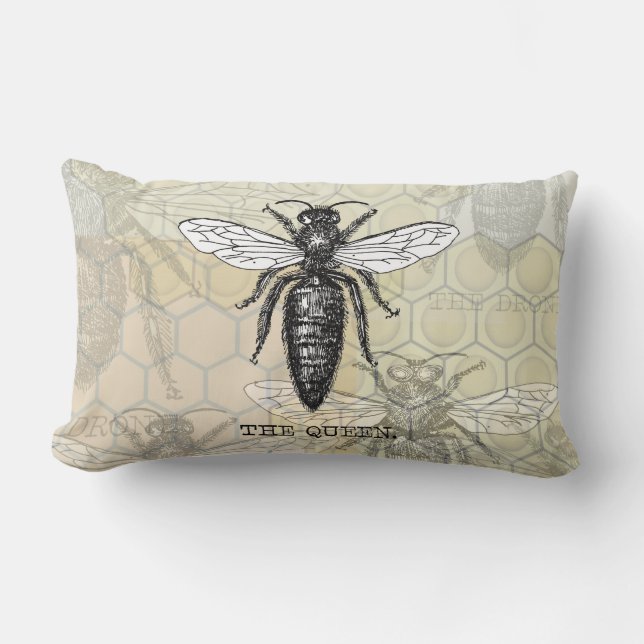 Coussin Rectangle Illustration Antique d'Insecte de Bourdon Reine Ab (Recto)