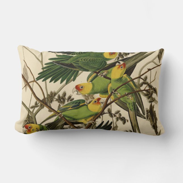 Coussin Rectangle Illustration Audubon Carolina Parrot Bird (Recto)
