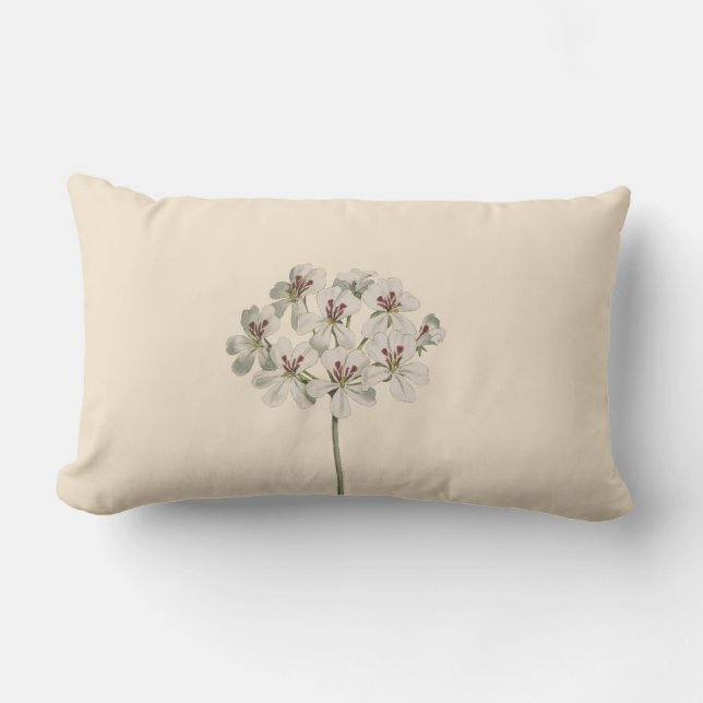 Coussin Rectangle Illustration botanique "Géranium commun" Floral (Recto)