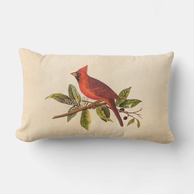 Coussin Rectangle Illustration cardinale vintage d'oiseau de chanson (Recto)
