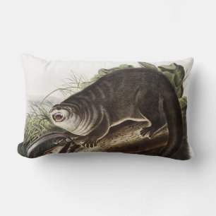Coussin Rectangle Illustration de Canada Otter (Lutra Canadensis)
