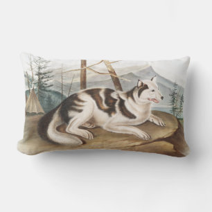 Coussin Rectangle Illustration de Chien indien lièvre (Canis familia