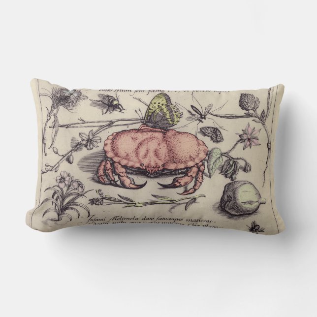 Coussin Rectangle Illustration de fleur d'insecte botanique de crabe (Recto)