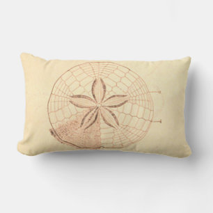 Coussin Rectangle Illustration de la plage de sable Dollar