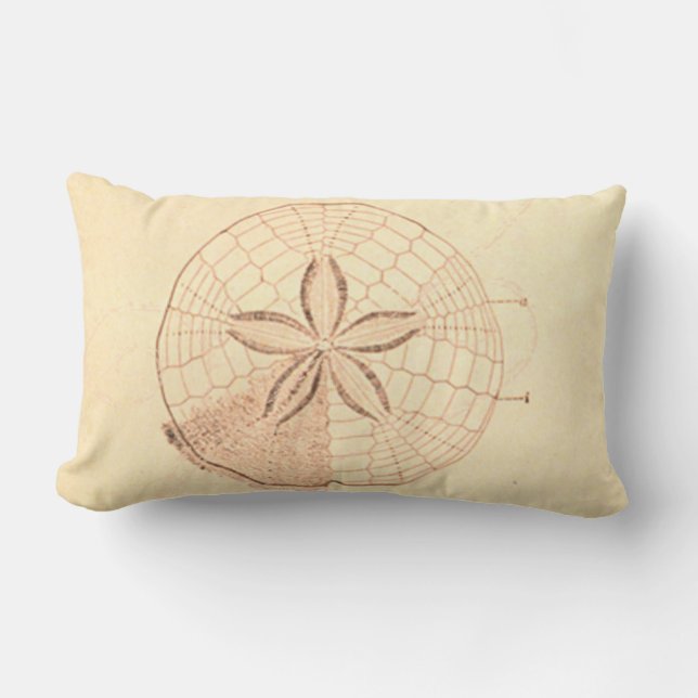 Coussin Rectangle Illustration de la plage de sable Dollar (Recto)
