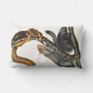 Coussin Rectangle Illustration de l'écureuil de chat (Sciurus cinere