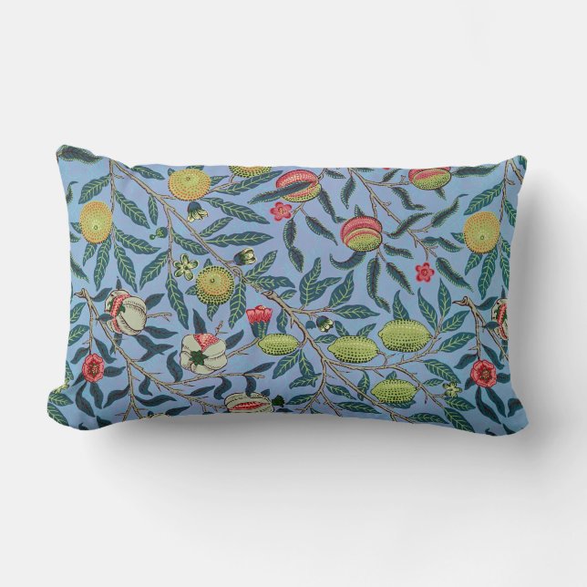 Coussin Rectangle Illustration de l'organisme de grenade à fruits vi (Recto)