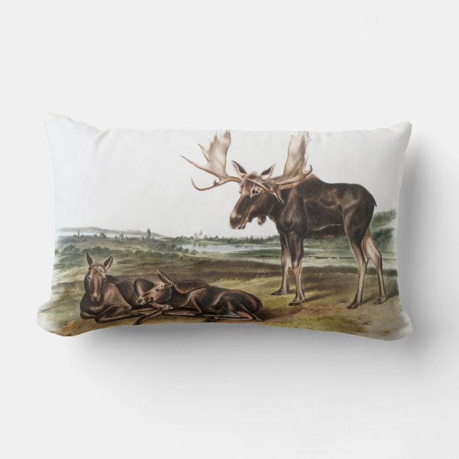 Coussin Rectangle Illustration de Moose Deer (Servus alces) (Recto)