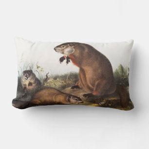 Coussin Rectangle Illustration de Woodchuck (Arctomys monax)