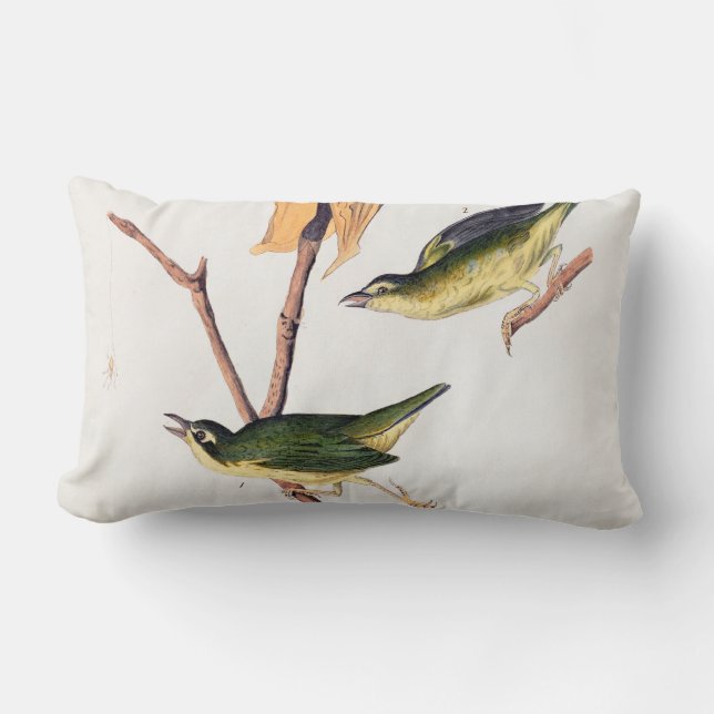 Coussin Rectangle Illustration des oiseaux de Paruline capturant des (Recto)