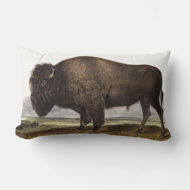 Coussin Rectangle Illustration du bison américain (Bos Americanus) (Recto)