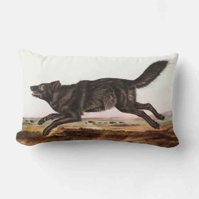 Coussin Rectangle Illustration du loup noir américain (Canis lupus) (Recto)