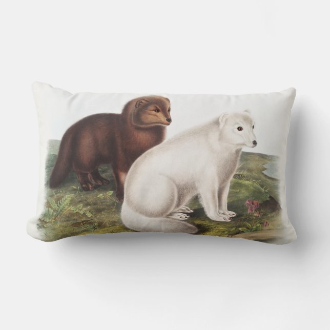 Coussin Rectangle Illustration du renard arctique (Vulpes lagopus) (Recto)