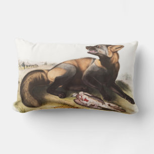 Coussin Rectangle Illustration du renard croisé américain (Canis vul