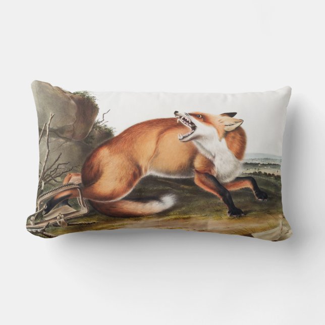 Coussin Rectangle Illustration du Renard rouge américain (Vulpes Ful (Recto)