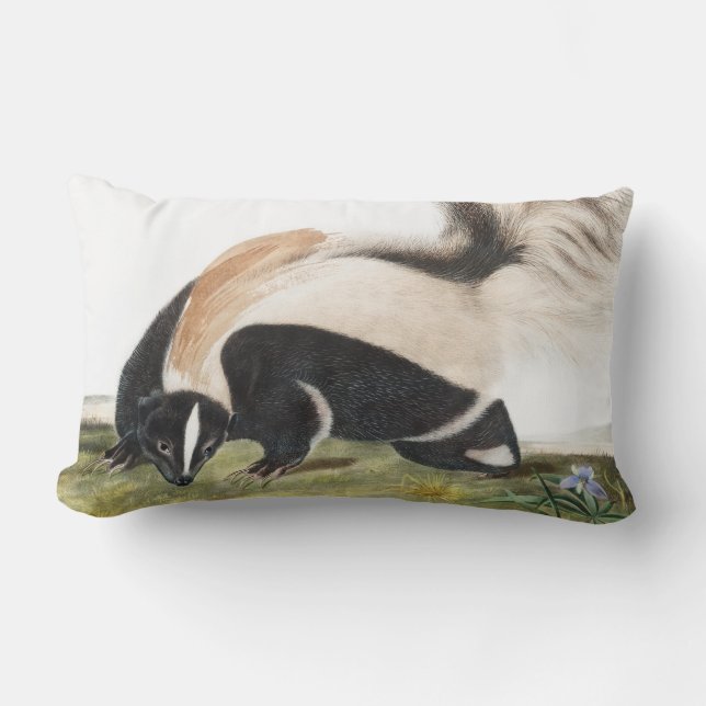 Coussin Rectangle Illustration LargeTail Skunk Mephitis macroura (Recto)