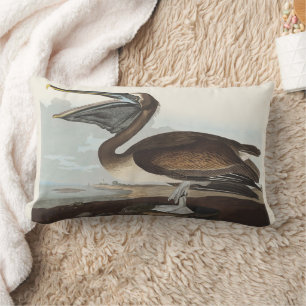 Coussin Rectangle Illustration vintage d'Audubon représentant un Pél
