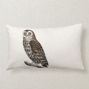 Coussin Rectangle Illustration vintage de hibou - modèles des